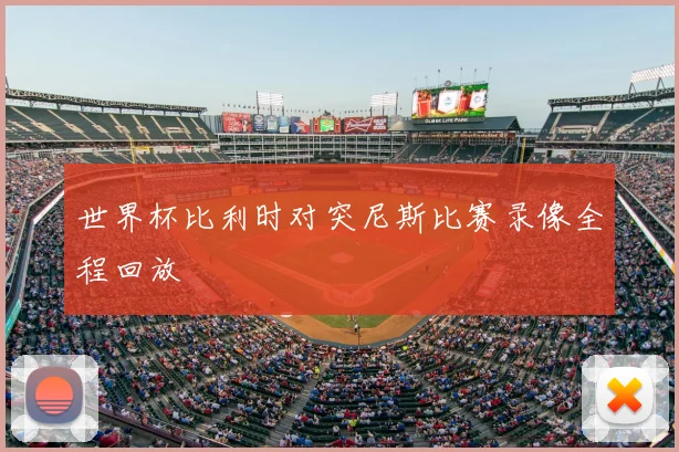 世界杯比利时对突尼斯比赛录像全程回放