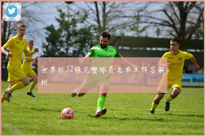 世界杯32强完整球员名单及阵容解析