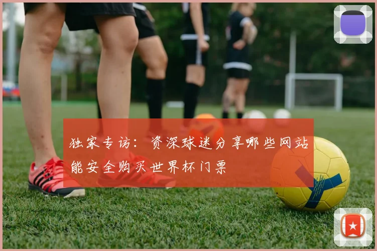 独家专访：资深球迷分享哪些网站能安全购买世界杯门票