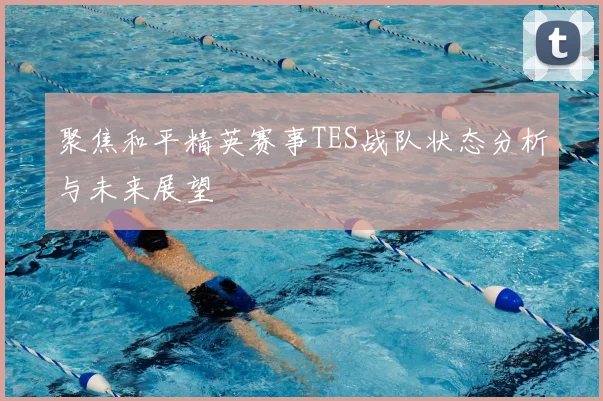 聚焦和平精英赛事TES战队状态分析与未来展望