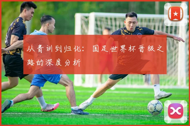 从青训到归化：国足世界杯晋级之路的深度分析