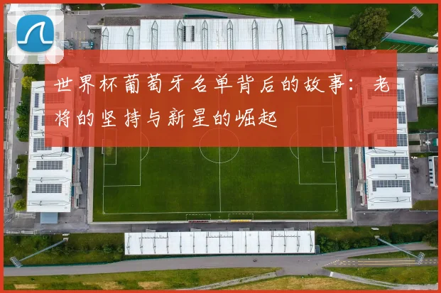 世界杯葡萄牙名单背后的故事：老将的坚持与新星的崛起