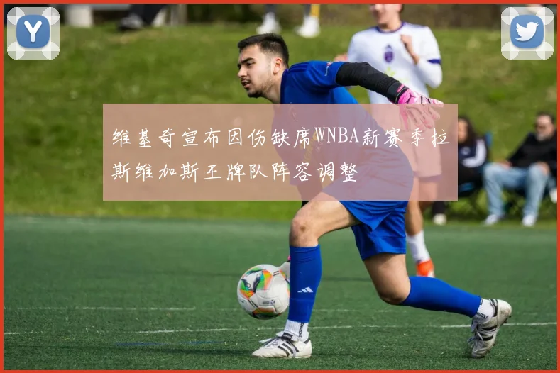维基奇宣布因伤缺席WNBA新赛季拉斯维加斯王牌队阵容调整
